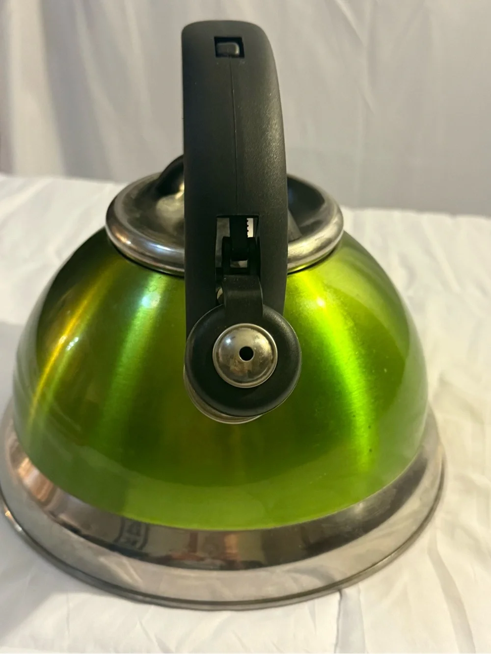 Green Stovetop Whistling Tea Kettle with Black Handle